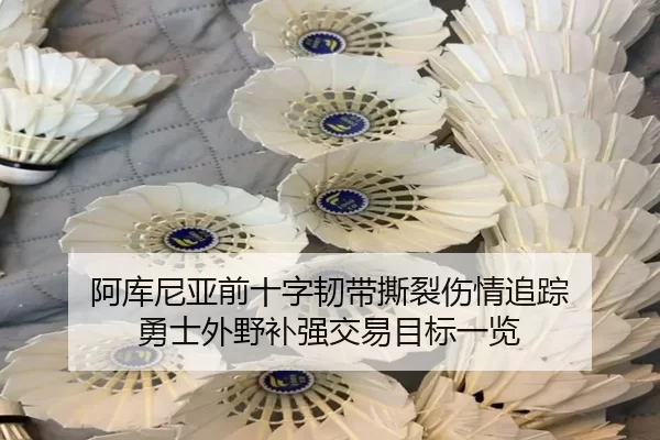 阿库尼亚前十字韧带撕裂伤情追踪 勇士外野补强交易目标一览